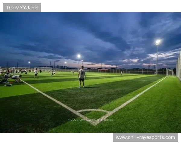 谷子：足球之光闪耀绿茵场